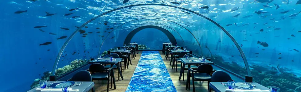 5.8 Undersea restaurant