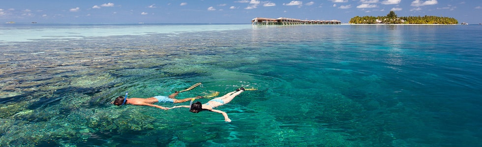 Couple snorkeling in Maldives