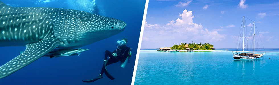 Diver at dive resort in Maldives