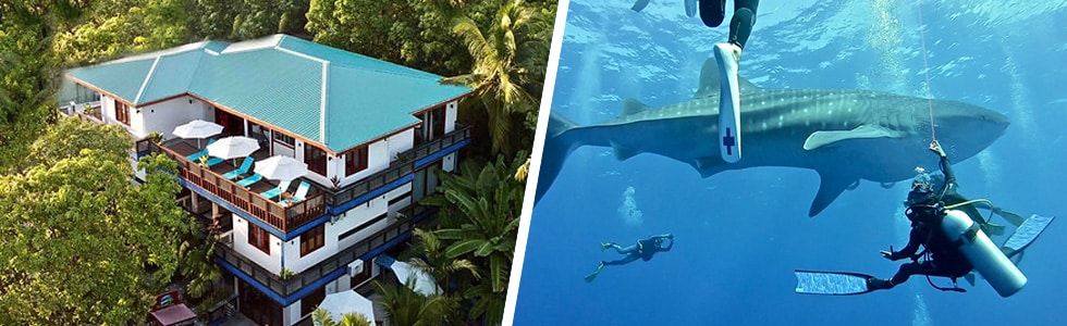 Fuvahmulah Dive resort