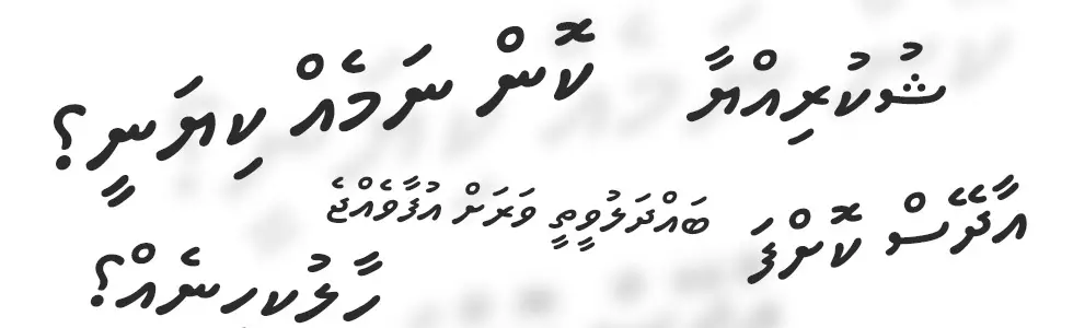 Language of Maldives