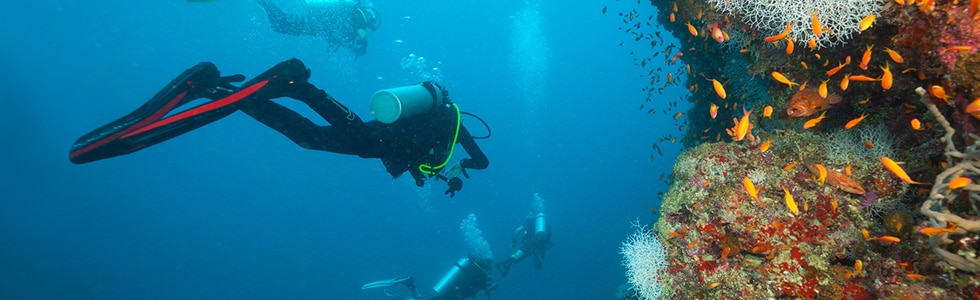 Maldives dive sites