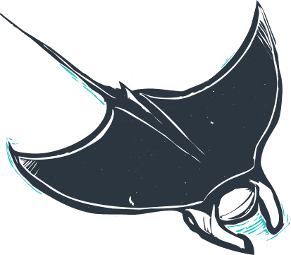 Manta Ray