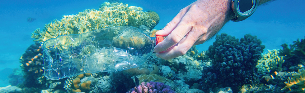Removing plastic from the coral reefs