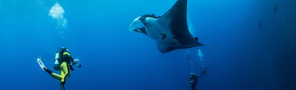 Scuba diving in Maldives