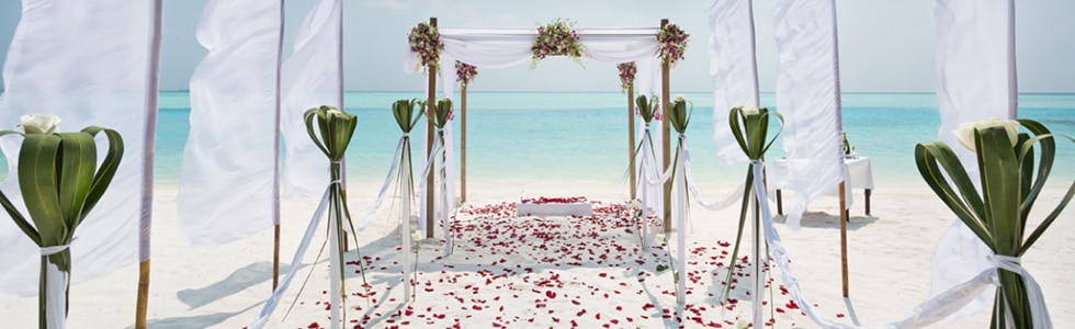 Wedding in Maldives