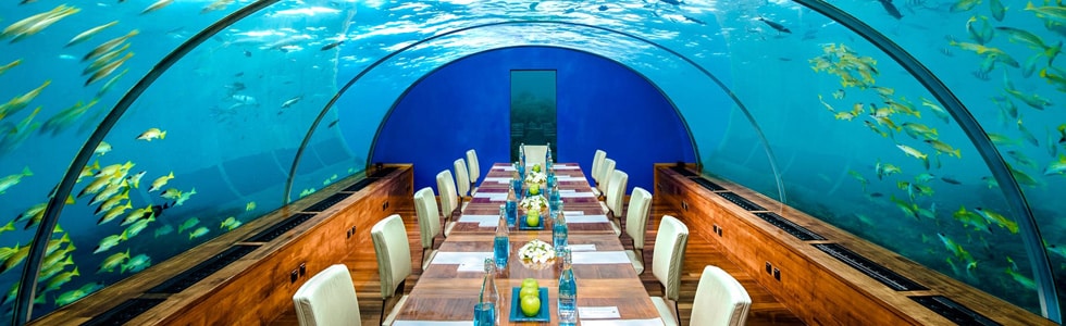 Wedding underwater in Maldives